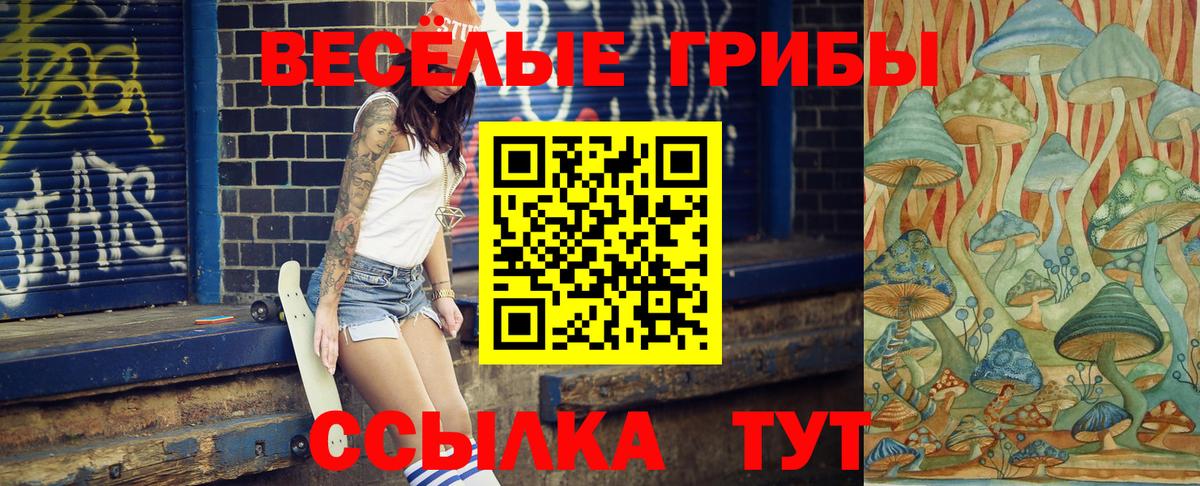 Галлюциногенные грибы GOLDEN TEACHER  как найти закладки  Верхняя Пышма  Вход с VPN 